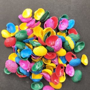 colourful sippi seashells 1