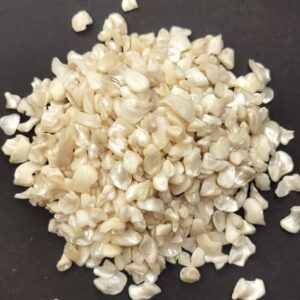 natural shell chips