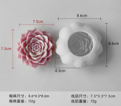 Succulent mold J-1070