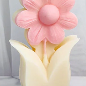 Product 48