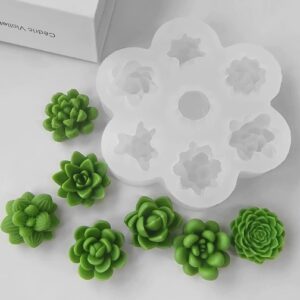 Cactus J1145